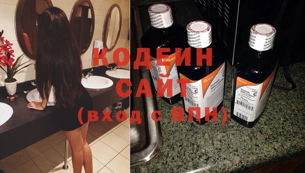 молекула духа Алзамай
