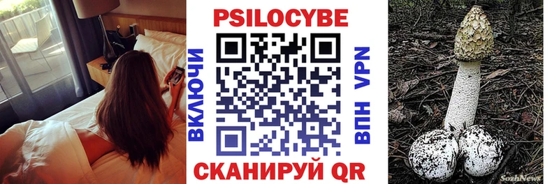 цена   Цимлянск  Псилоцибиновые грибы GOLDEN TEACHER 